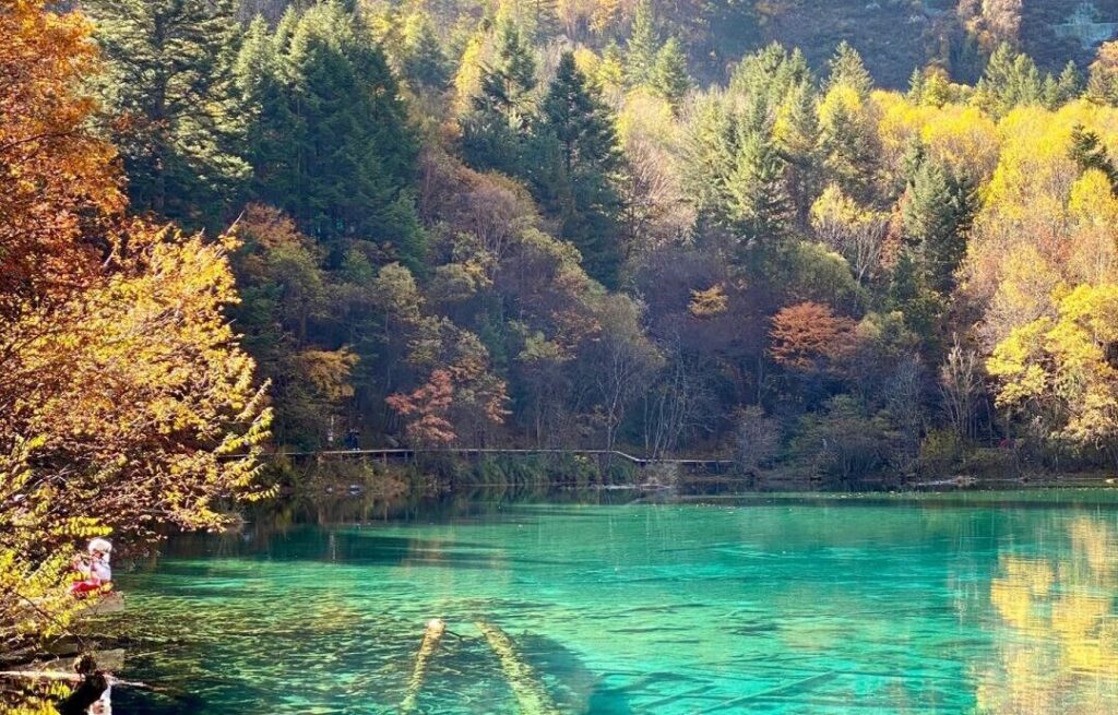 九寨沟·黄龙5日游